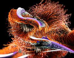 Когда и кому нужно сдавать анализ на онкомаркеры?