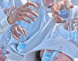 BTC не угнаться за альткоинами