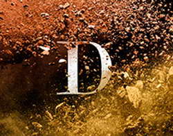 Петицию о бойкоте ЧМ-2026 подписали 170+ тысяч нидерландцев: «Мы не хотим, чтобы наши футболисты косвенно поддерживали террористическую политику Трампа»