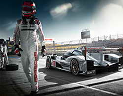 На матче Италия – Израиль задействуют кинологов, саперов, беспилотники, технологию обнаружения оружия и взрывчатки. Префект Удине опасается беспорядков из-за пропалестинского шествия