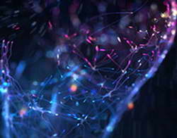 Валютный рынок, Daily history за 29 сентября 2025 г.