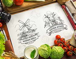 Крипторынок вернулся в область максимумов, невзирая на вялость Биткоина