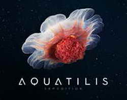 Samsung отказалась от Galaxy S26 Edge из-за слабого спроса