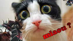 Настоящий монстр пикапов Dodge RAM TRX