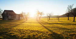 Протезирование на имплантах